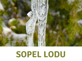 SOPEL LODU